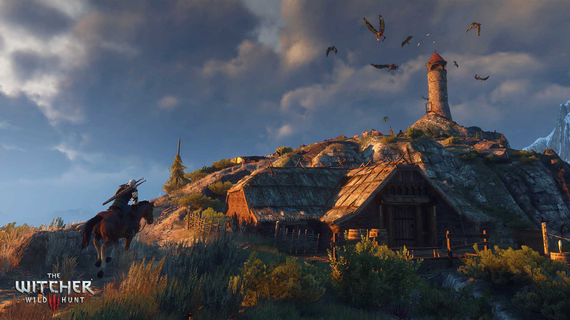 The Witcher 3 : Wild Hunt